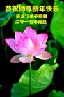 Published on 12/30/2016 ���ֹ�,��½�󷨵��ӹ�ףʦ�������(27��)