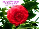 Published on 12/30/2016 ���ֹ�,��½�󷨵��ӹ�ףʦ�������(27��)