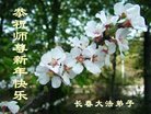 Published on 12/30/2016 ���ֹ�,��½�󷨵��ӹ�ףʦ�������(27��)