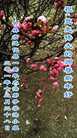 Published on 12/31/2016 ���ֹ�,��½�󷨵��ӹ�ףʦ�������(41��)
