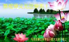 Published on 12/31/2016 ���ֹ�,��½�󷨵��ӹ�ףʦ�������(39��)