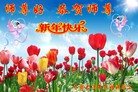 Published on 12/31/2016 ���ֹ�,��½�󷨵��ӹ�ףʦ�������(39��)