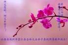 ֹ,󷨵ӹףʦ(25)