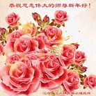 Published on 12/30/2016 ���ֹ�,��½�󷨵��ӹ�ףʦ�������(37��)
