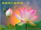 Published on 1/1/2017 ���ֹ�,��½31ʡ����������ֱϽ�д󷨵��ӹ�ףʦ�������