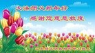 Published on 12/31/2016 ���ֹ�,�������������ף���ʦ�����