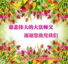 Published on 12/31/2016 ���ֹ�,�������������ף���ʦ�����