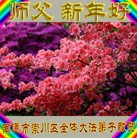 Published on 1/1/2017 ���ֹ�,��½31ʡ����������ֱϽ�д󷨵��ӹ�ףʦ�������