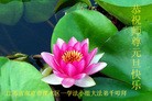 Published on 1/1/2017 ���ֹ�,��½31ʡ����������ֱϽ�д󷨵��ӹ�ףʦ�������