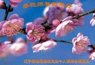 Published on 12/30/2016 ���ֹ�,��½�󷨵��ӹ�ףʦ�������(27��)