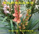 Published on 12/30/2016 ���ֹ�,��½�󷨵��ӹ�ףʦ�������(27��)