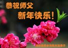 Published on 12/31/2016 ���ֹ�,��½�󷨵��ӹ�ףʦ�������(34��)