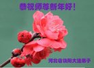 Published on 12/31/2016 ���ֹ�,��½�󷨵��ӹ�ףʦ�������(34��)