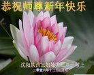 Published on 12/31/2016 ���ֹ�,��½�󷨵��ӹ�ףʦ�������(34��)