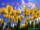 Published on 1/1/2017 ���ֹ�,��½�󷨵��ӹ�ףʦ�������(30��)