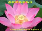 Published on 12/31/2016 ���ֹ�,��½�󷨵��ӹ�ףʦ�������(26��)