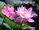 Published on 12/31/2016 ���ֹ�,��½�󷨵��ӹ�ףʦ�������(25��)