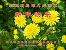 Published on 12/30/2016 ���ֹ�,��½�󷨵��ӹ�ףʦ�������(33��)