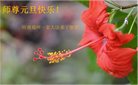 Published on 12/31/2016 ���ֹ�,��½�󷨵��ӹ�ףʦ�������(34��)