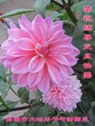 Published on 12/31/2016 ���ֹ�,��½�󷨵��ӹ�ףʦ�������(47��)