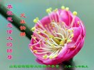 Published on 12/31/2016 ���ֹ�,��½�󷨵��ӹ�ףʦ�������(47��)