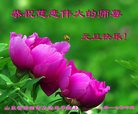 Published on 12/31/2016 ���ֹ�,��½�󷨵��ӹ�ףʦ�������(47��)