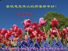 Published on 12/31/2016 ���ֹ�,��½�󷨵��ӹ�ףʦ�������(47��)