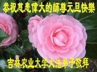 Published on 1/1/2017 ���ֹ�,�������޴󷨷������桡�ж�ʦ���ȱ�ָ��