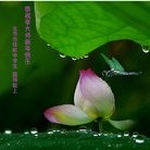 Published on 12/31/2016 ���ֹ�,�����������ġ����չ�ף���־��ʦ�������