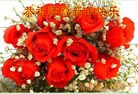 Published on 1/1/2017 ���ֹ�,��½31ʡ����������ֱϽ�д󷨵��ӹ�ףʦ�������