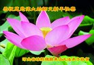 Published on 12/31/2016 ���ֹ�,��½�󷨵��ӹ�ףʦ�������(41��)