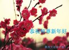 Published on 1/1/2017 ���ֹ�,��½�󷨵��ӹ�ףʦ�������(35��)