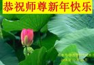 Published on 1/1/2017 ���ֹ�,��½�󷨵��ӹ�ףʦ�������(35��)
