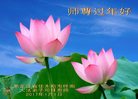 Published on 12/30/2016 ���ֹ�,��½�󷨵��ӹ�ףʦ�������(27��)