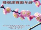Published on 12/30/2016 ���ֹ�,��½�󷨵��ӹ�ףʦ�������(27��)
