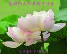 Published on 12/30/2016 ���ֹ�,��½�󷨵��ӹ�ףʦ�������(27��)