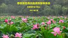 Published on 12/30/2016 ���ֹ�,��½�󷨵��ӹ�ףʦ�������(27��)