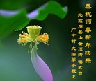 Published on 1/1/2017 ���ֹ�,��½�󷨵��ӹ�ףʦ�������(38��)