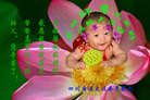 Published on 12/30/2016 ���ֹ�,��½�󷨵��ӹ�ףʦ�������(40��)