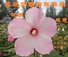 Published on 12/30/2016 ���ֹ�,����ҵ�󷨵��ӹ�ףʦ�������(32��)