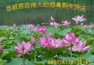 Published on 12/30/2016 ���ֹ�,��½�󷨵��ӹ�ףʦ�������(27��)