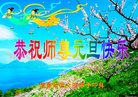 Published on 12/30/2016 ���ֹ�,��½�󷨵��ӹ�ףʦ�������(27��)