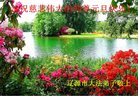 Published on 12/29/2016 ���ֹ�,��½�󷨵��ӹ�ףʦ�������(38��)