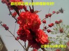 Published on 12/29/2016 ���ֹ�,��½�󷨵��ӹ�ףʦ�������(38��)