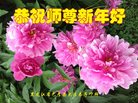 Published on 12/29/2016 ���ֹ�,��½�󷨵��ӹ�ףʦ�������(38��)