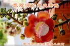 ֹ,󷨵ӹףʦ(23)