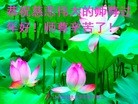 Published on 2/10/2016 ���ֹ�,��½�󷨵��ӹ�ףʦ������(86��)

