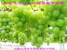 Published on 2/10/2016 ���ֹ�,��½�󷨵��ӹ�ףʦ������(86��)
