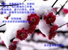 ֹ,ӱ󷨵ӹףʦ(26)
