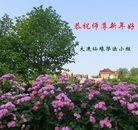 ֹ,󷨵ӹףʦ(29)
